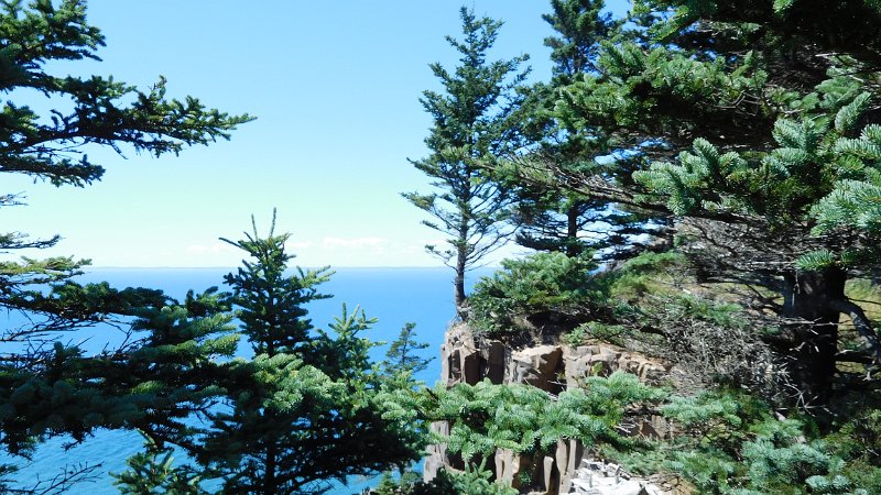 051 (3).JPG - Little tree on the cliff edge